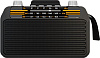 Радиоприемник SOUNDMAX SM-RD2114UB
